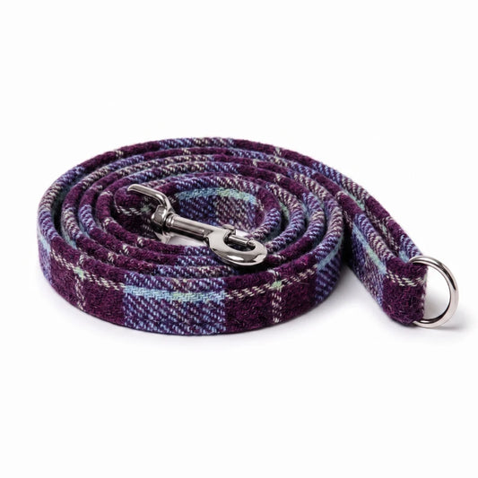 A coiled dog leash made of a purple and blue plaid woven fabric with silver metal hardware, shown on a plain white background.
