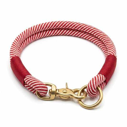 Red and white striped dog rope collar with gold clasp on a white background