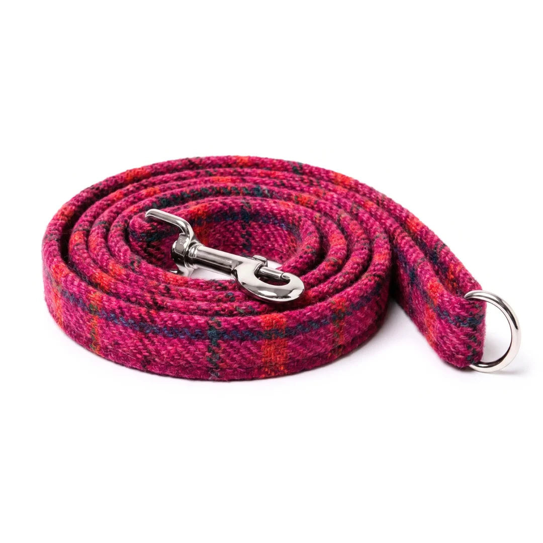 A coiled woven dog leash in a vibrant magenta and orange plaid pattern with a silver metal clasp and a silver D-ring, shown on a plain white background.