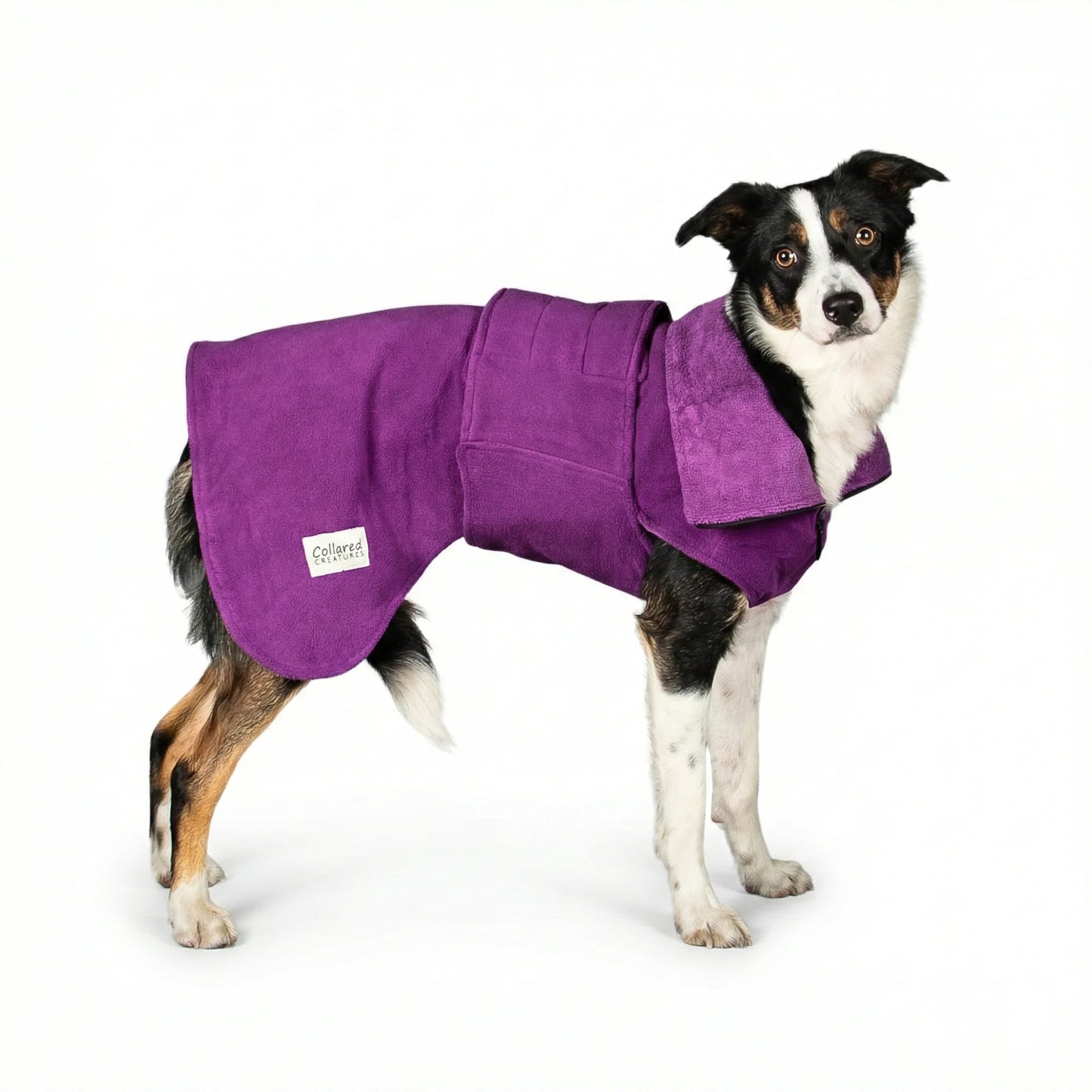Magenta Perfectly Practical Dog Drying Coat - Collared Creatures LTD