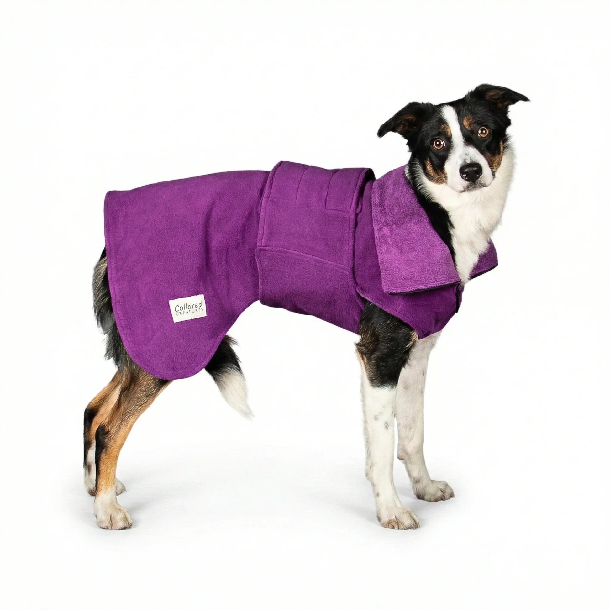 Magenta Perfectly Practical Dog Drying Coat - Collared Creatures LTD