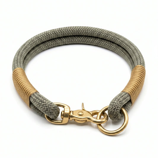 green and beige braided dog collarh with gold clasp on a white background