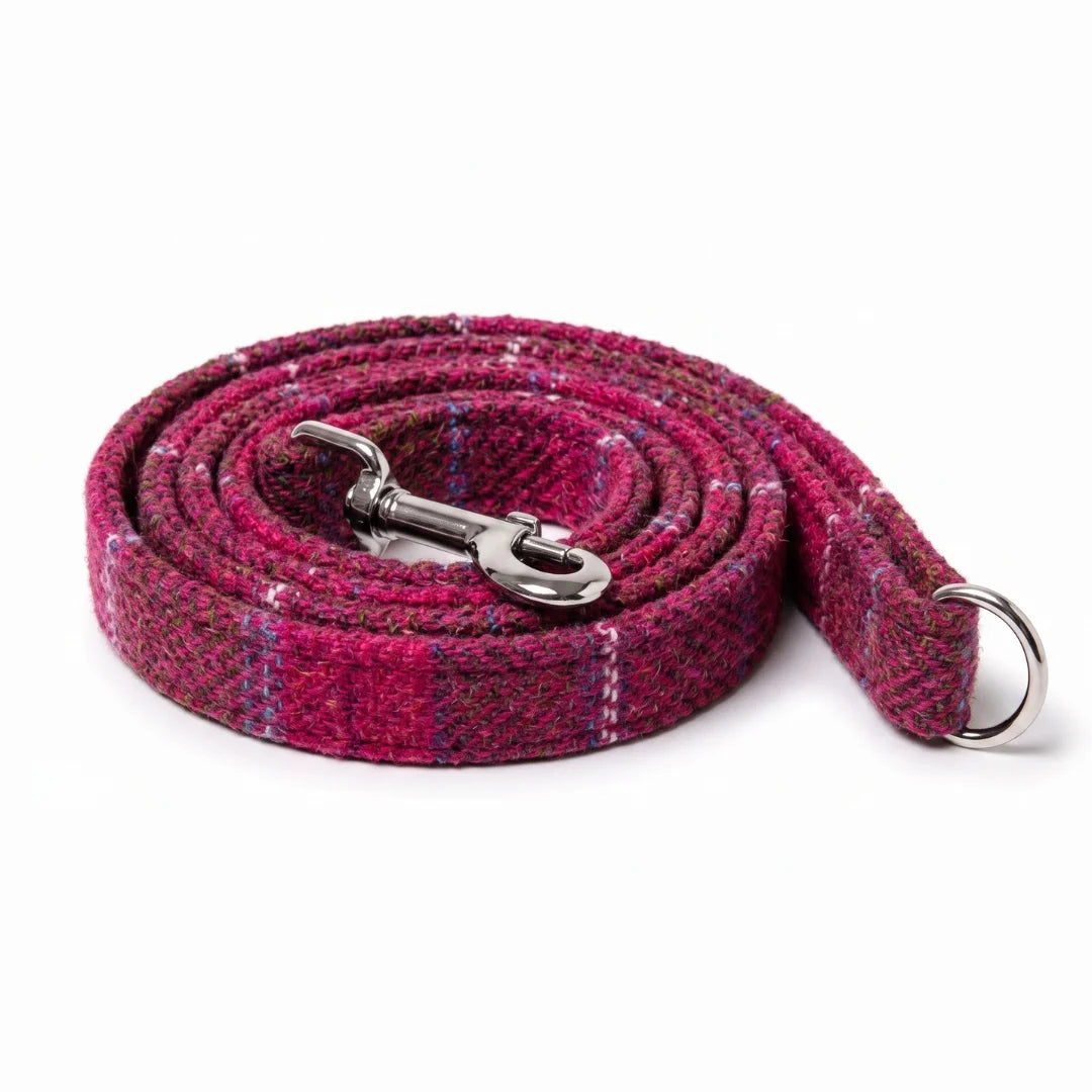 A coiled woven dog leash in a pink and purple plaid pattern with a silver metal clasp and a silver D-ring, shown on a white background.