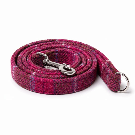 A coiled woven dog leash in a pink and purple plaid pattern with a silver metal clasp and a silver D-ring, shown on a white background.