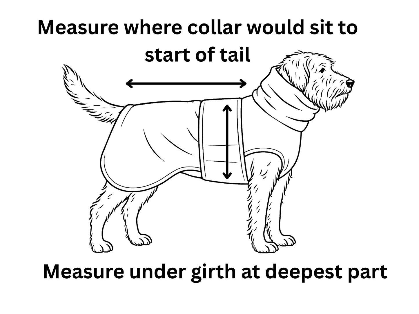 Diagram showing how to measure a dog's drying coat size with text instructions.