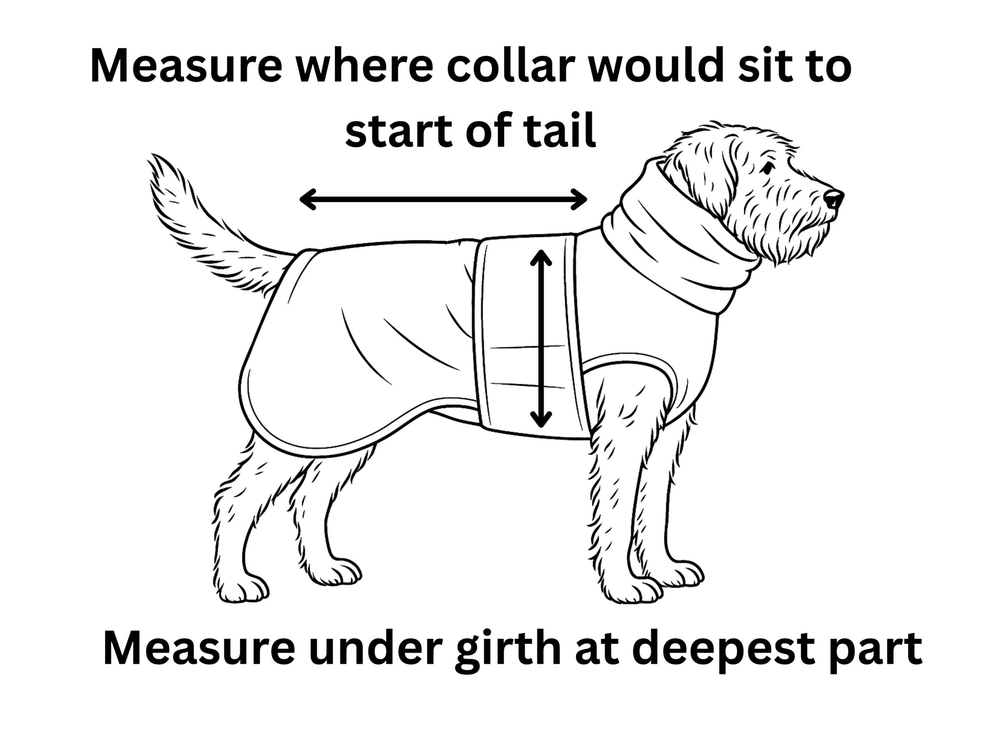 Diagram showing how to measure a dog's drying coat size with text instructions.