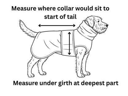 Diagram showing how to measure a dog's drying coat size with text instructions.