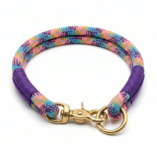 Colourful braided dog rope collar with a gold clasp on a white background