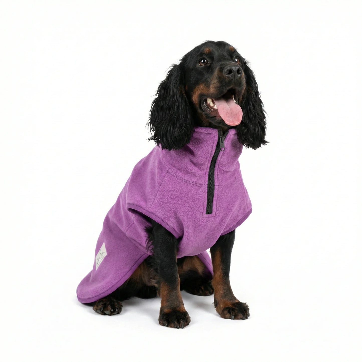 Dog wearing a purple fleece drying coat on a white background