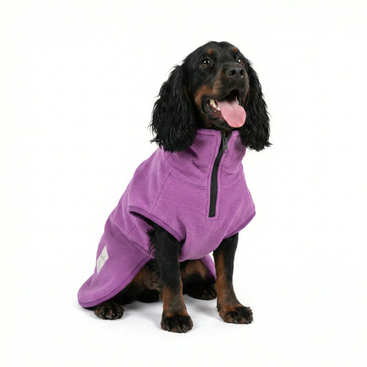 Dog wearing a purple fleece drying coat on a white background