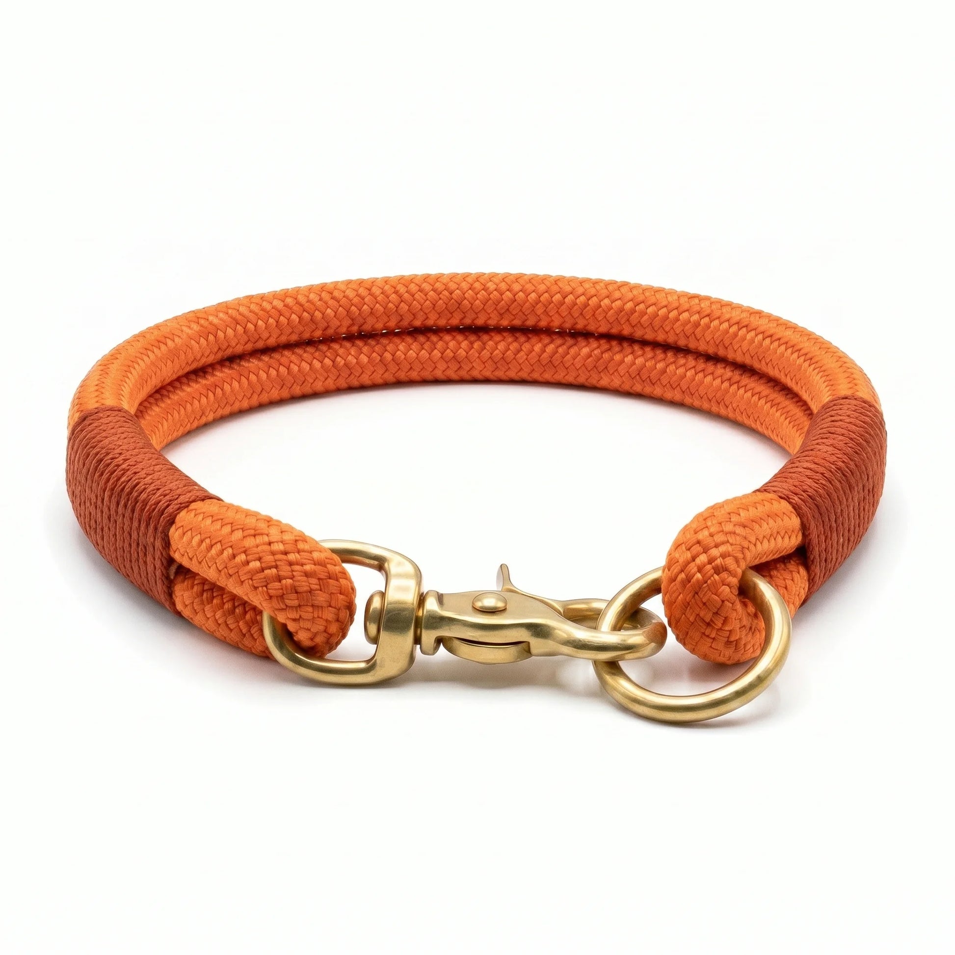 Orange dog collar with gold clasp on a white background