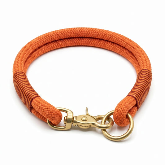 Orange dog rope collar with gold clasp on a white background