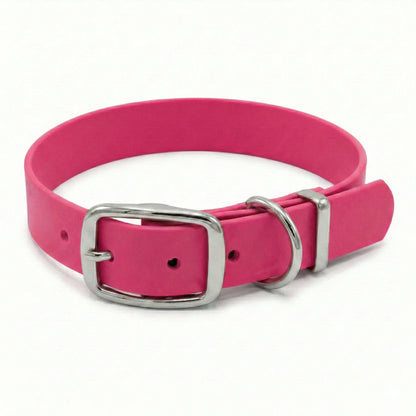 collared reatures fuchsia pink biothane buckle collar on white background