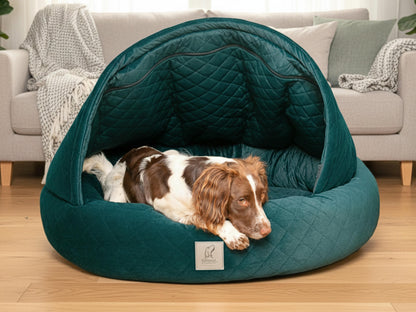 Springer Spaniel resting in a dark green Collared Creatures cave dog bed in a modern cozy living room
