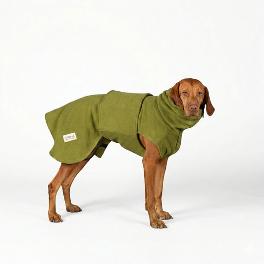 Dog wearing a green drying coat on a white background