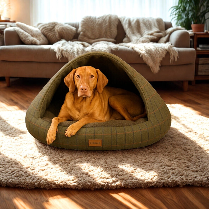 Luxury Dog Beds for Every Sleep Style