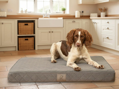 Brown and white spaniel resting on a grey quilted dog mattress bed in a kitchen setting