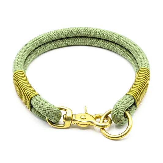 Green and gold braided dog rope collar on a white background