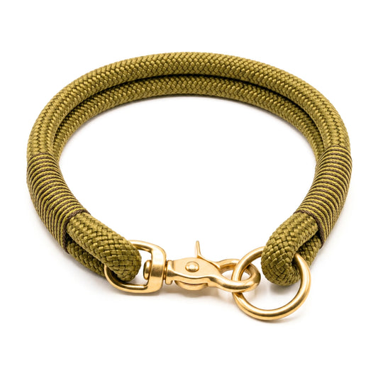 Golden rope dog collar with gold clasp on a white background