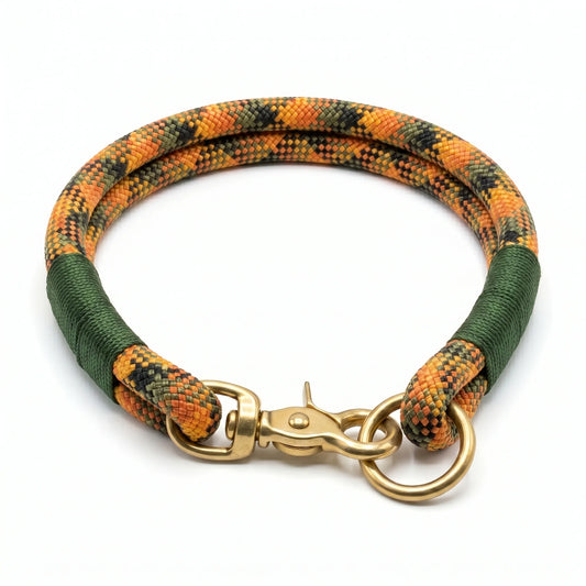 Multicolored braided rope collar with gold clasp on a white background