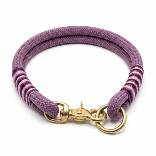 Purple striped dog rope collar with gold clasp on a white background
