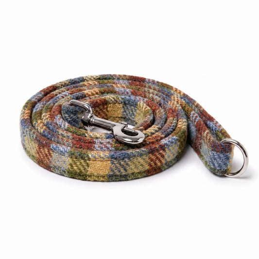 A coiled woven fabric dog leash with a multicolor plaid pattern in blue, green, yellow, and red, featuring a silver metal snap hook and a silver metal ring attachment.