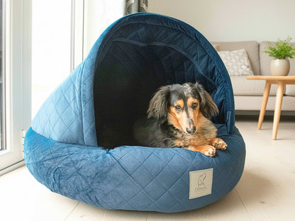 Dachshund relaxing inside a navy Collared Creatures cave dog bed in a bright living room
