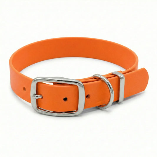 collared creatures neon orange waterproof buckle collar on white background