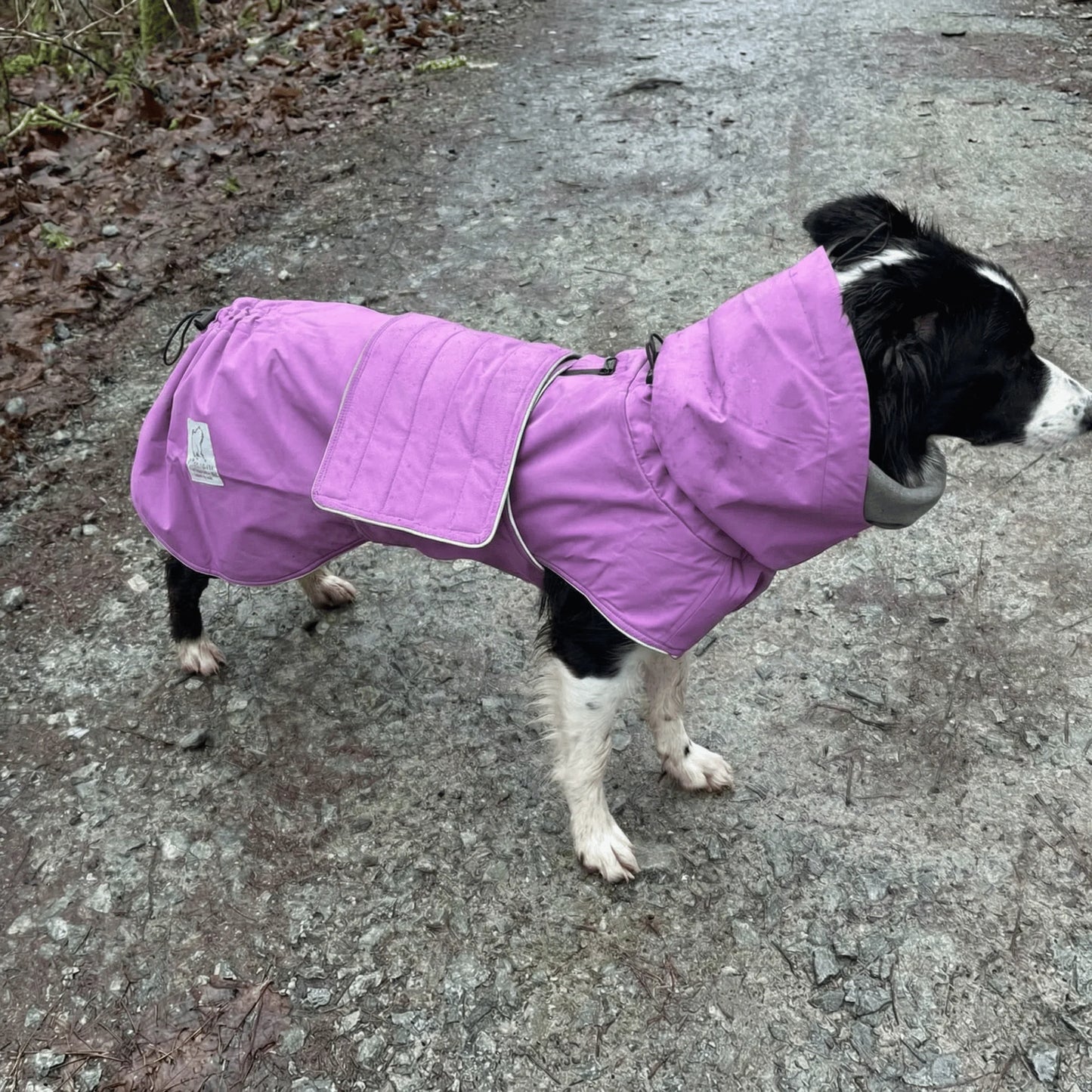 Magenta Superior Waterproof Dog Coat