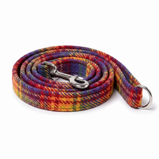 A coiled fabric dog leash with a vibrant multicolor plaid pattern in red, yellow, blue, and green, featuring a silver metal snap hook and a silver D-ring, set against a plain white background.