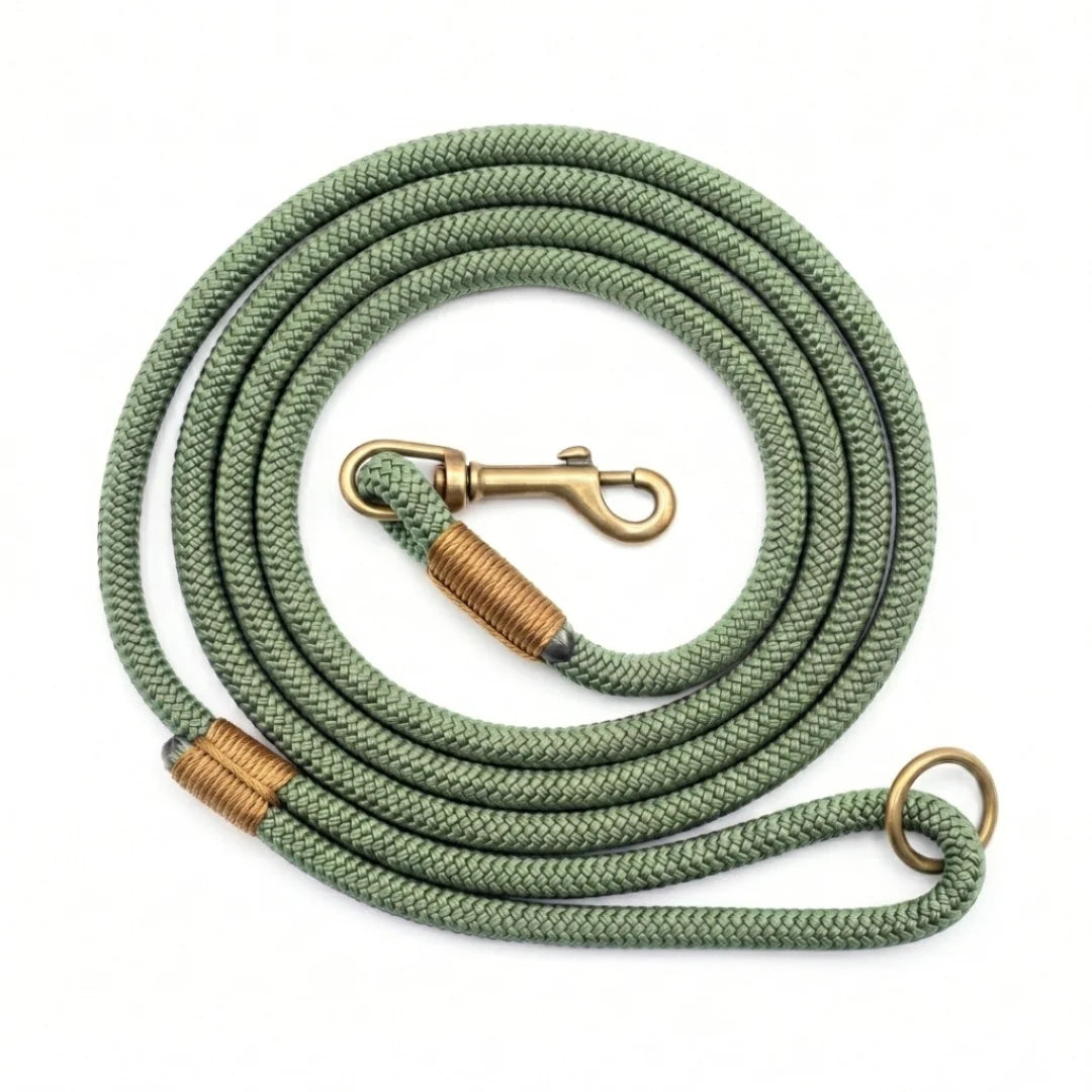 A coiled braided rope lead in a taupe-gray color with antique bronze metal hardware, including a snap hook, ring, and wrapped ferrule, shown on a plain white background.