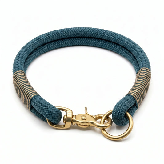 Teal and gold rope dog collar on a white background
