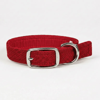 Simply Red - Buckle Fastening Luxury Harris Tweed Dog Collar - Collared Creatures LTD