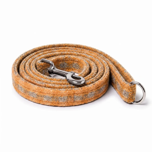 A coiled yellow and gray textured dog leash with a silver metal snap hook and a silver metal ring, shown on a white background.