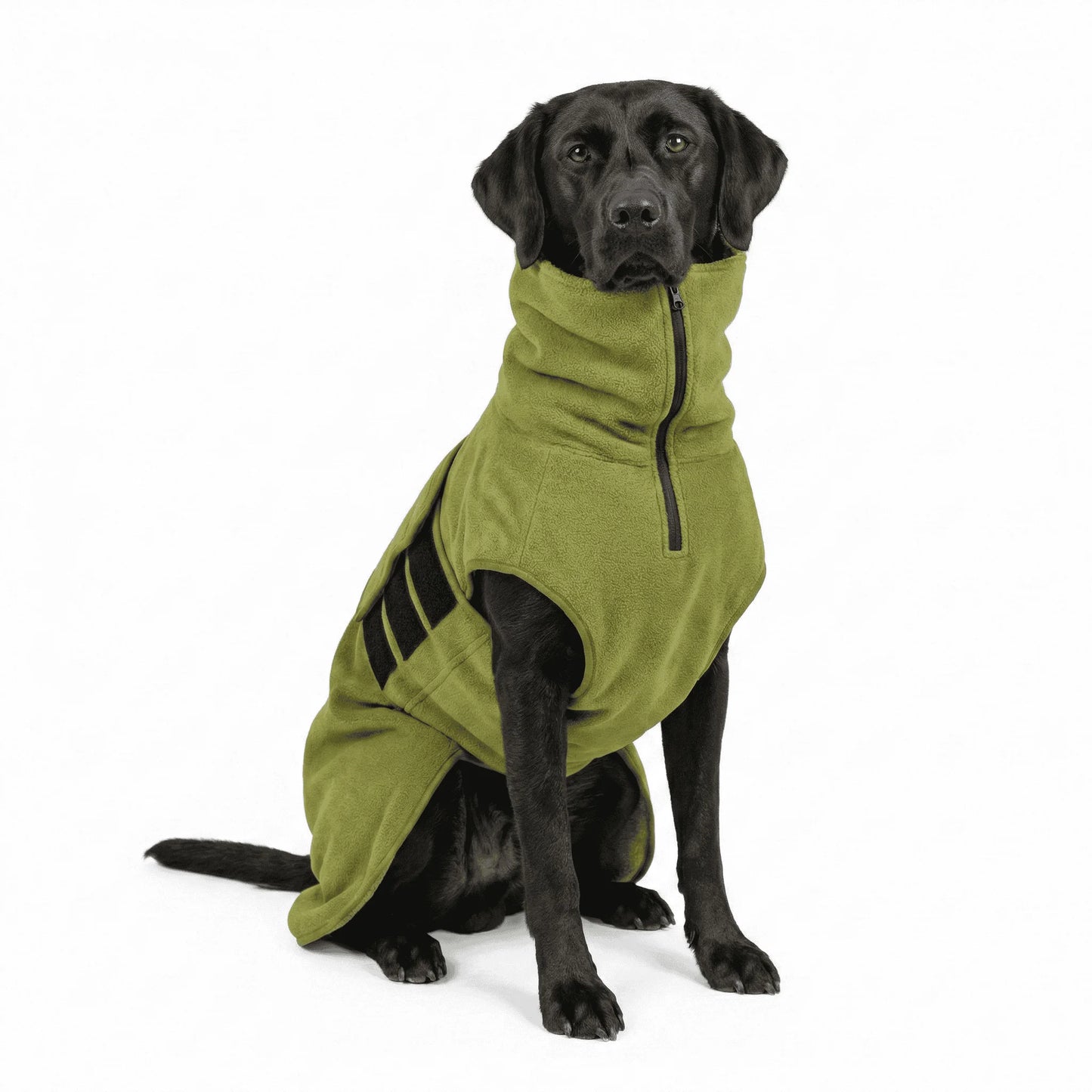 Green Superior Perfectly Practical Dog Drying Coat - Collared Creatures LTD