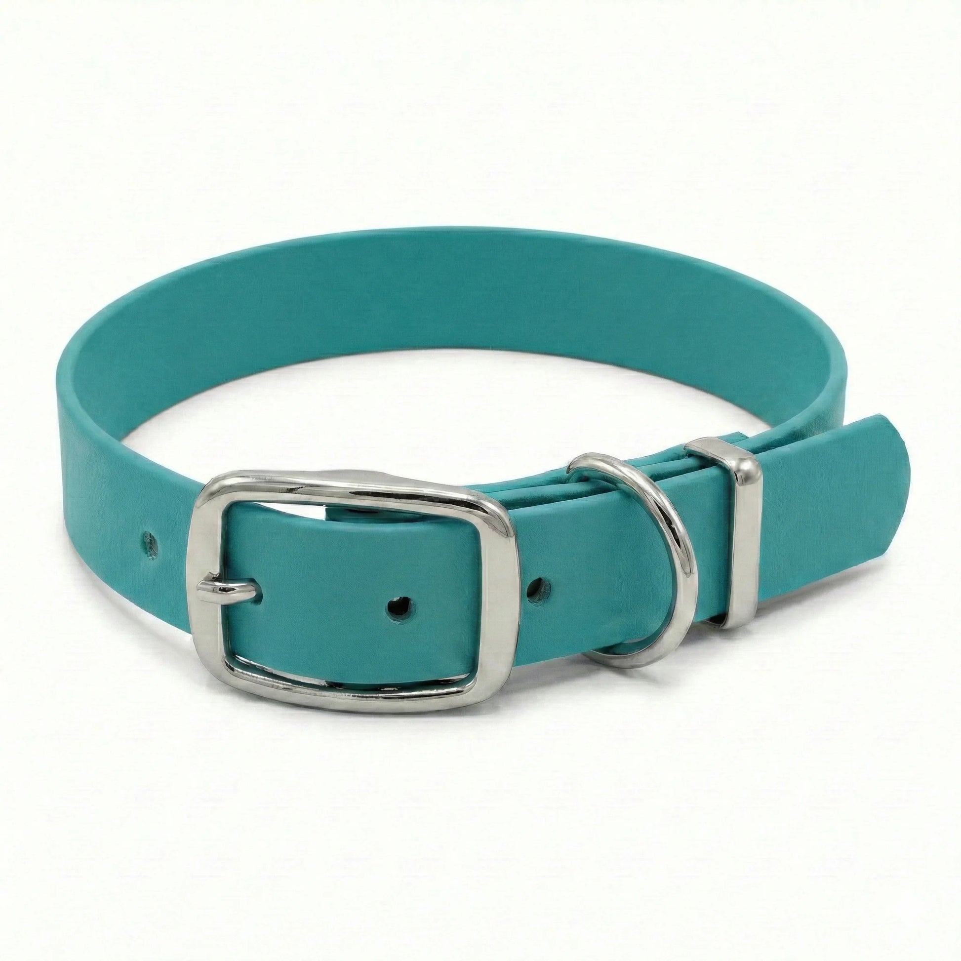 collared creatures teal biothane dog collar on white background