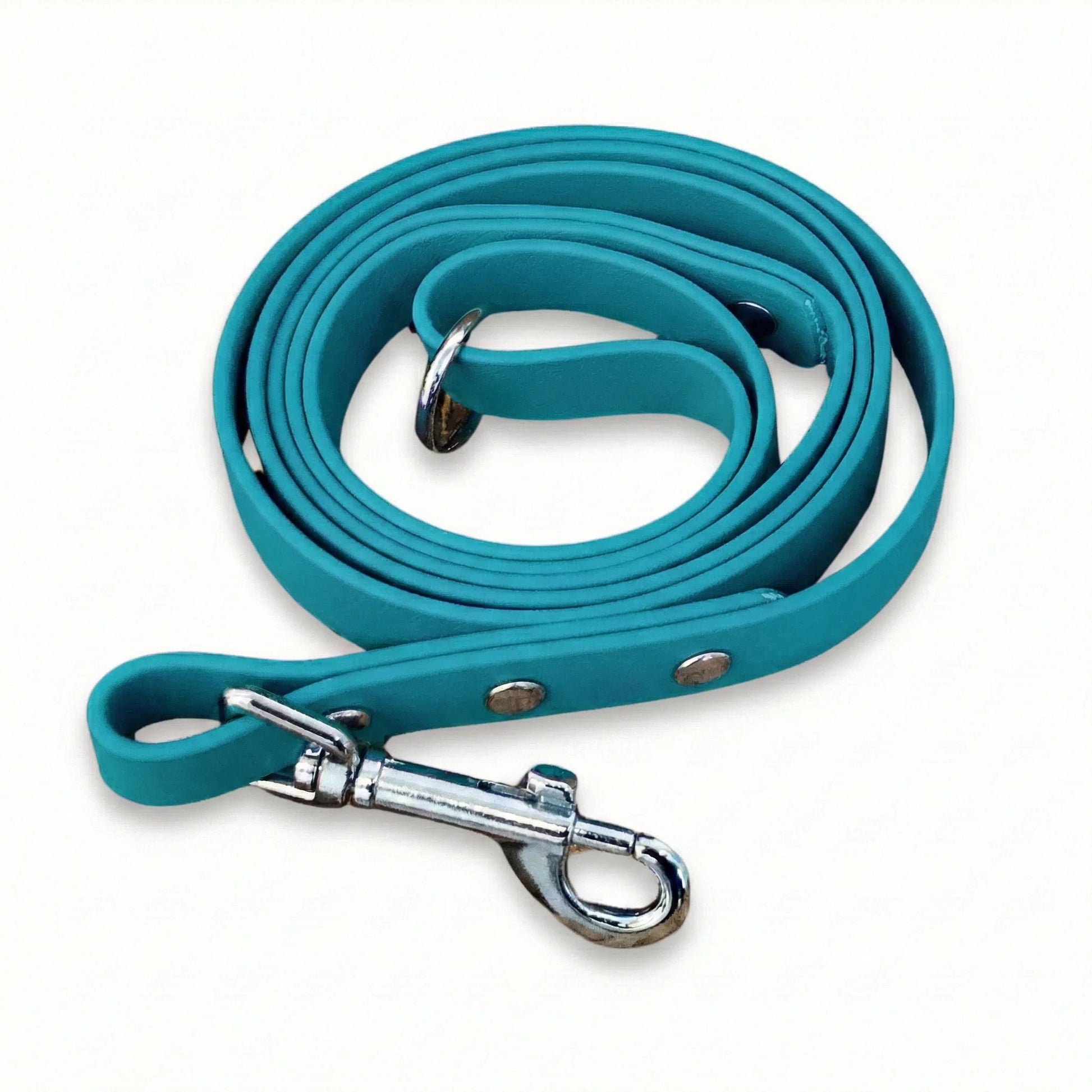 Teal bdog leash with metal clip on a white backgroundothane 