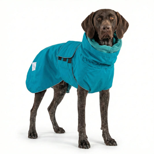 Dog wearing a blue rain coat on a white background