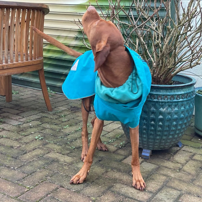Teal Superior Waterproof Dog Coat