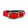 Schwarz & Rot Multicolour Wasserdichtes Biothane Schnallen Hundehalsband