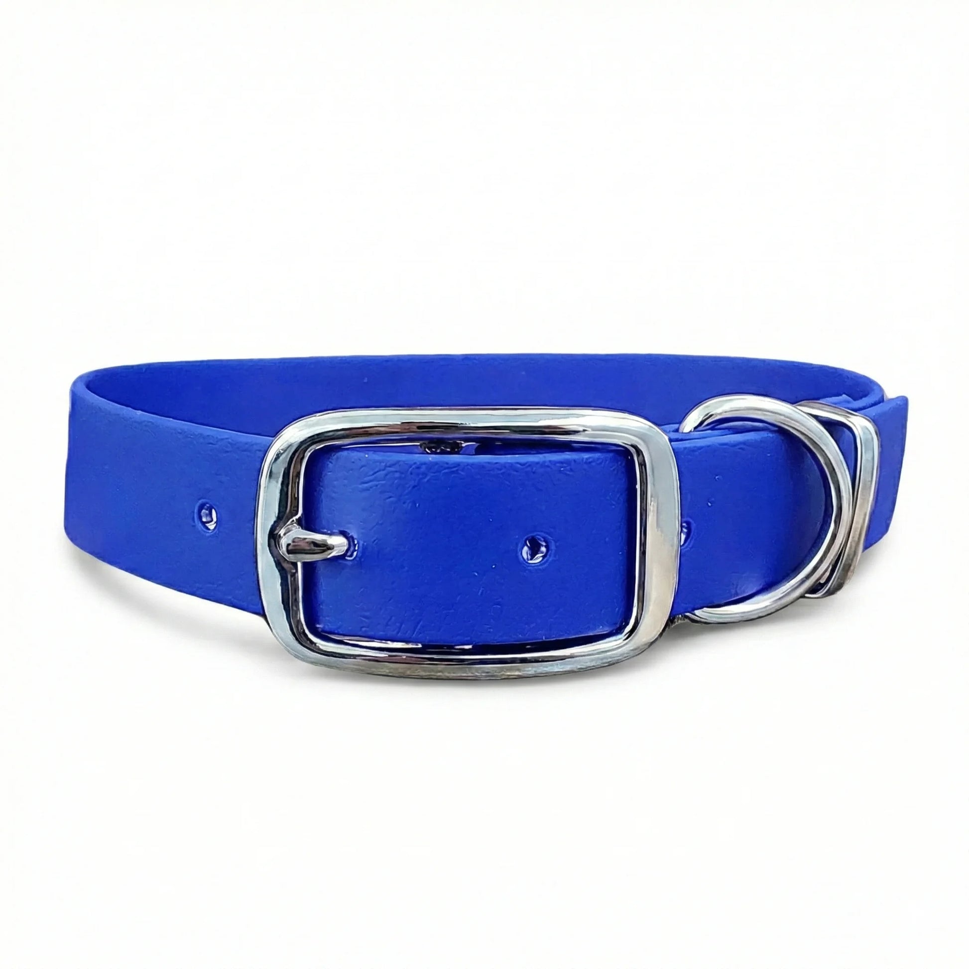 collared creatures waterproof biothane dog buckle collar in electric blue for dogs
