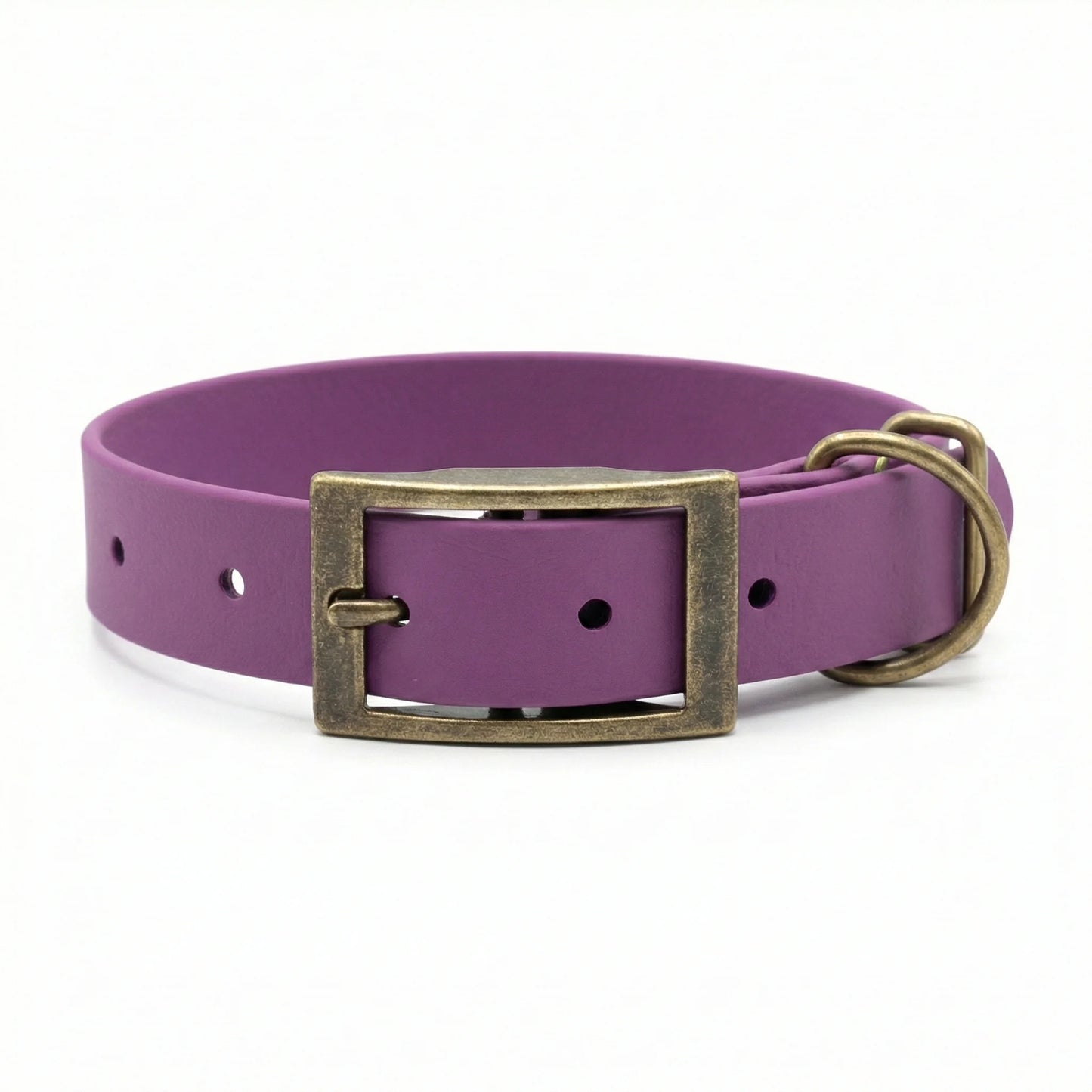 collared creatures waterproof biothane dog buckle collar in grape for dogs