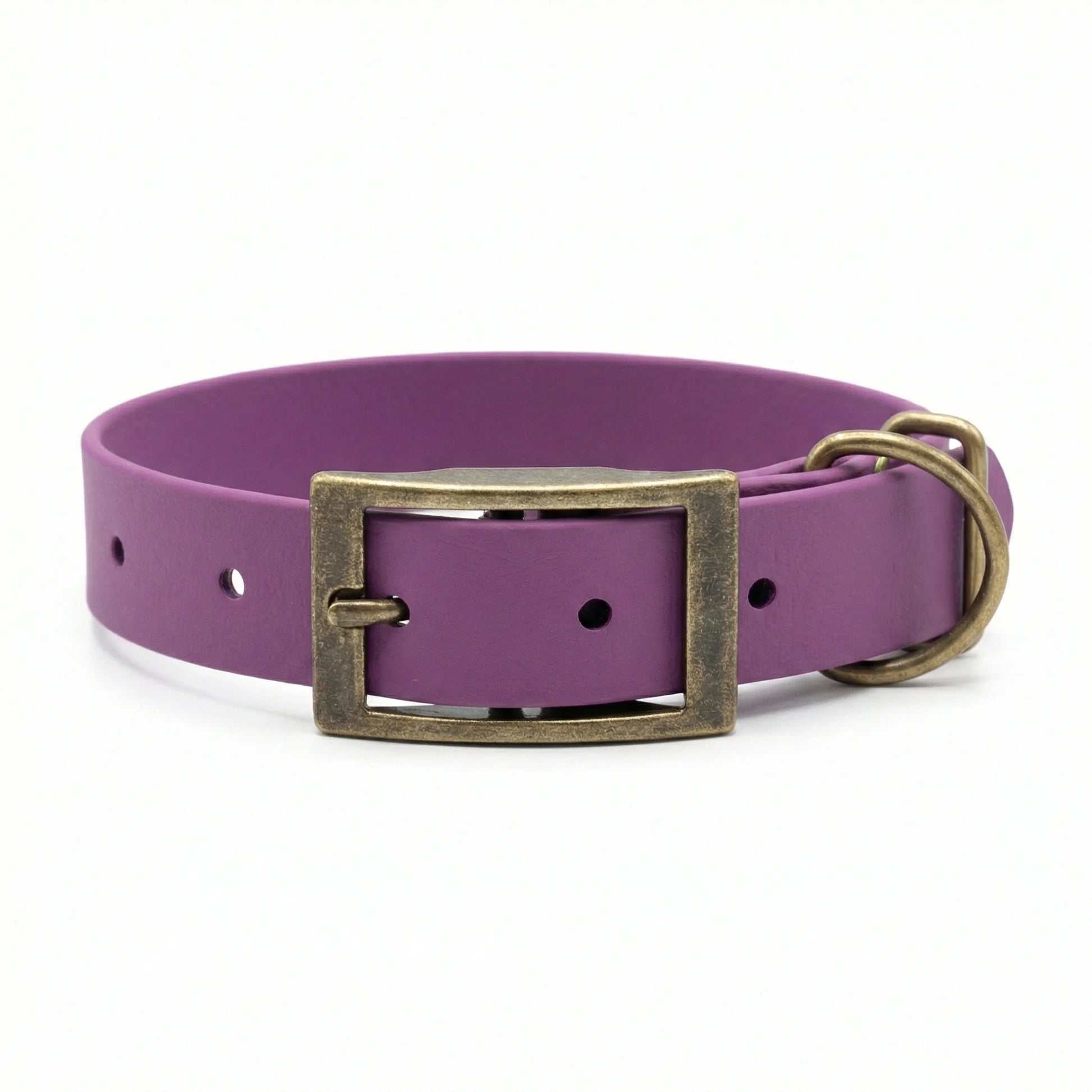 collared creatures waterproof biothane dog buckle collar in grape for dogs