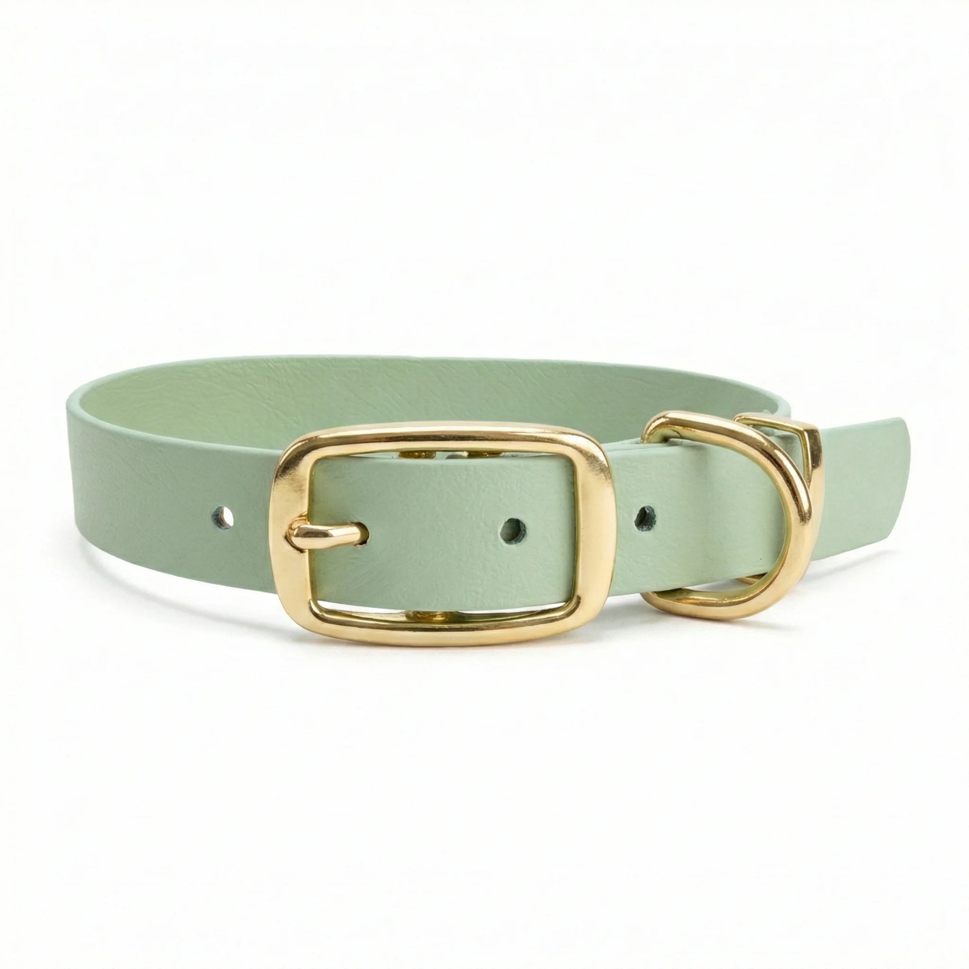 collared creatures waterproof biothane dog buckle collar in guacamole green for dogs