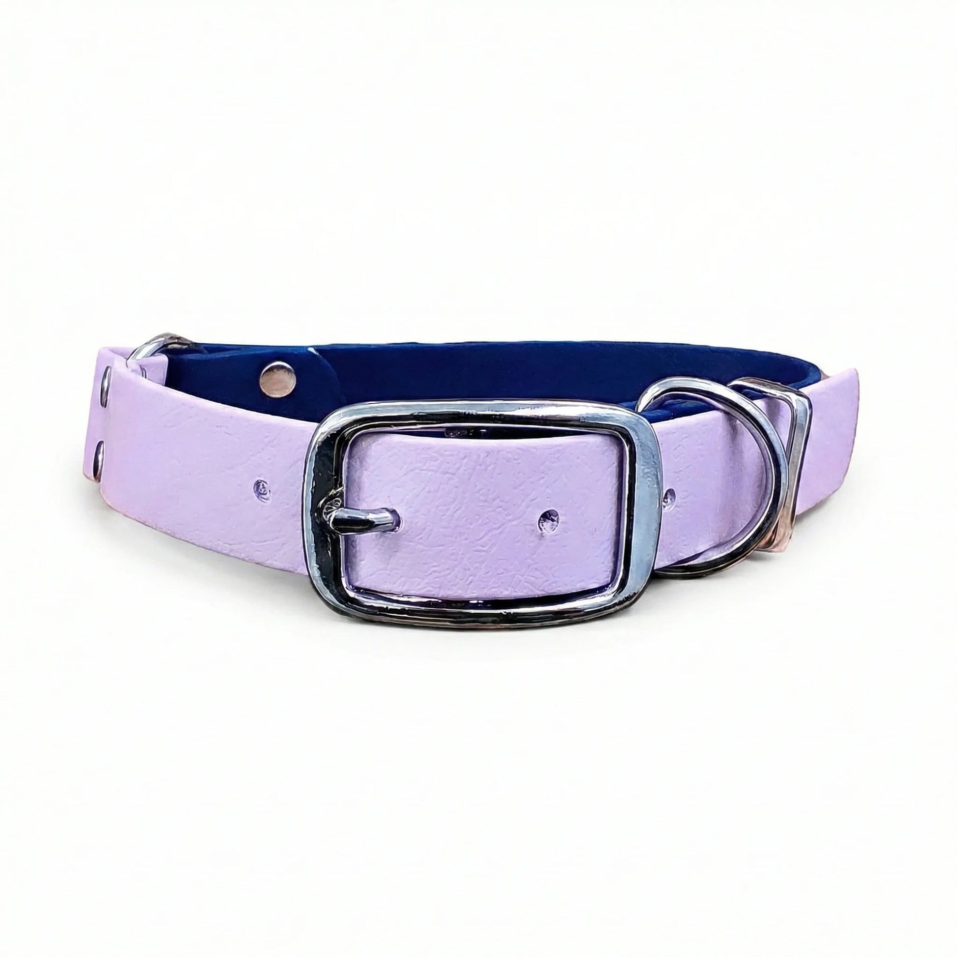 collared creatures waterproof biothane dog buckle collar in navy & pastel pink multicolour for dogs