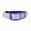 Navy & Pastel Pink Multicolour Waterproof Biothane Buckle Dog Collar