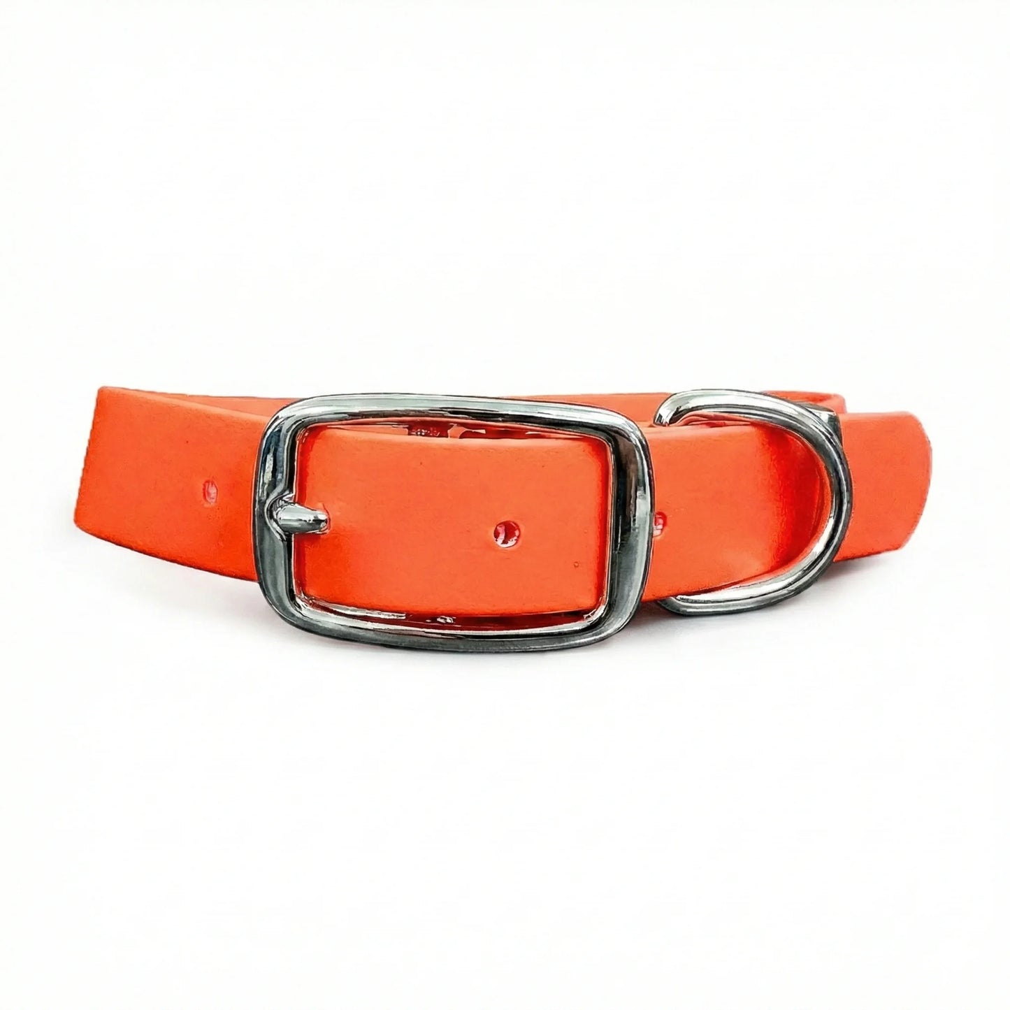collared creatures waterproof biothane dog buckle collar in neon orange for dogs