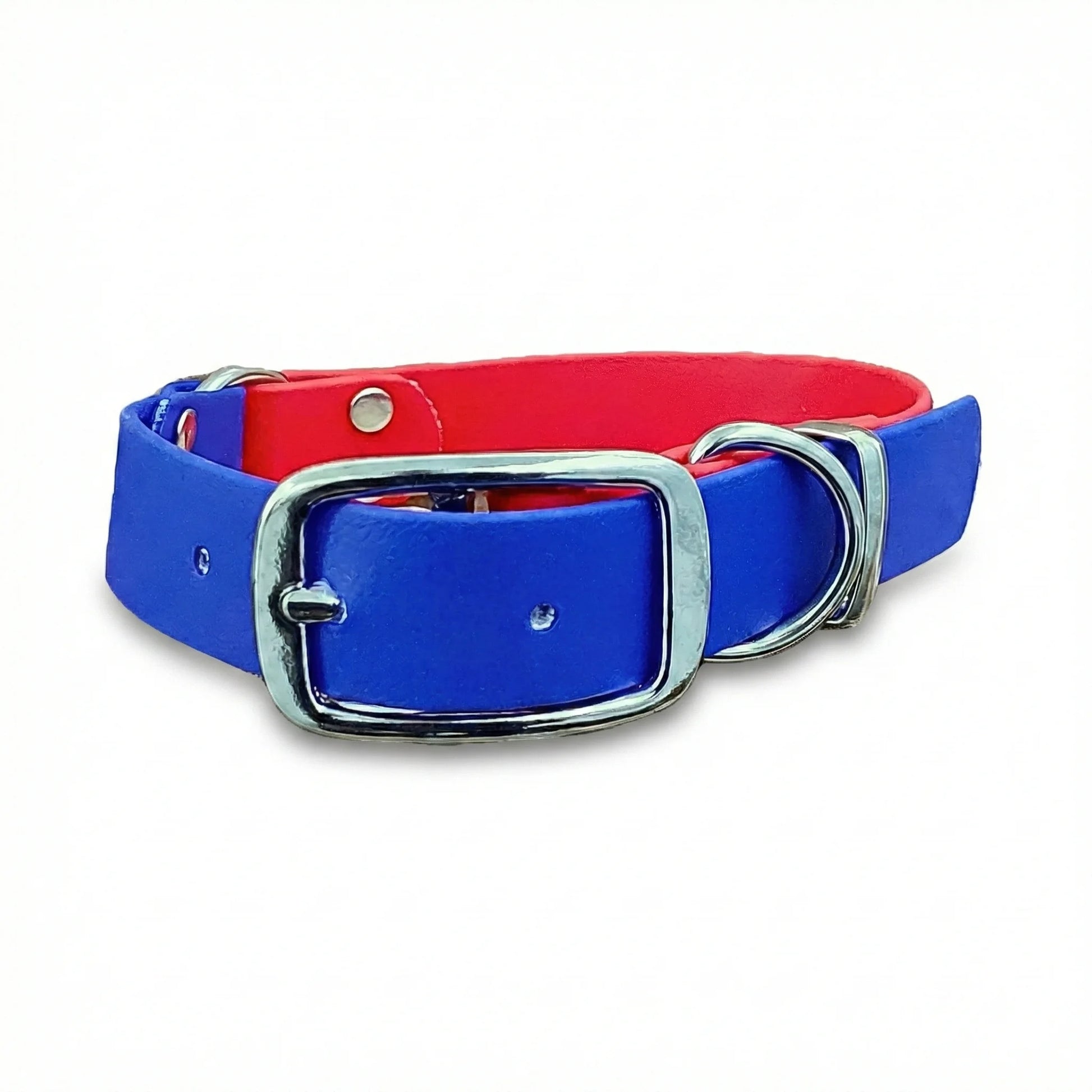 collared creatures waterproof biothane dog buckle collar in red & electric blue multicolour for dogs