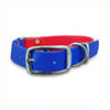 Red & Electric Blue Multicolour Waterproof Biothane Buckle Dog Collar