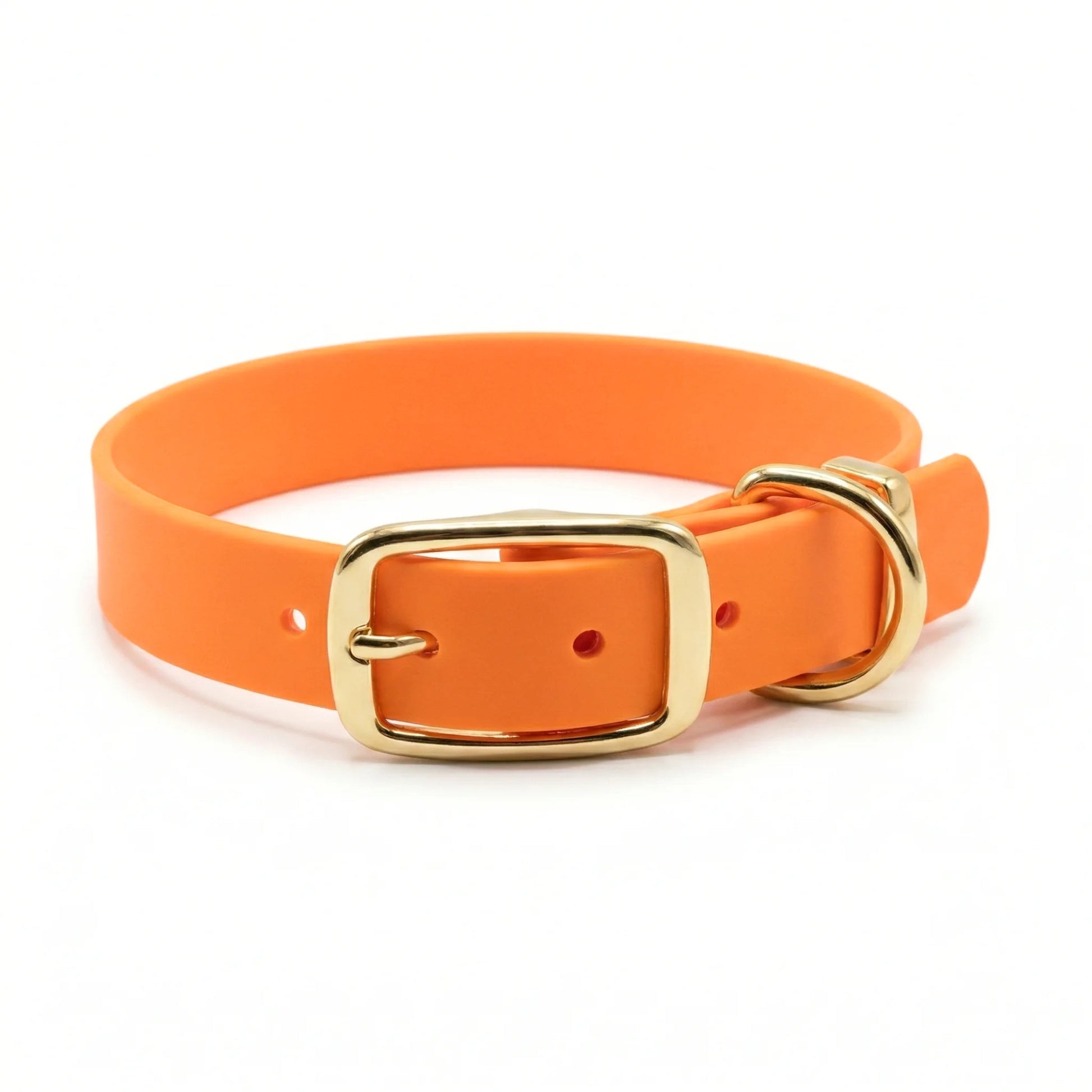 collared creatures waterproof biothane dog buckle collar in tangerine for dogs